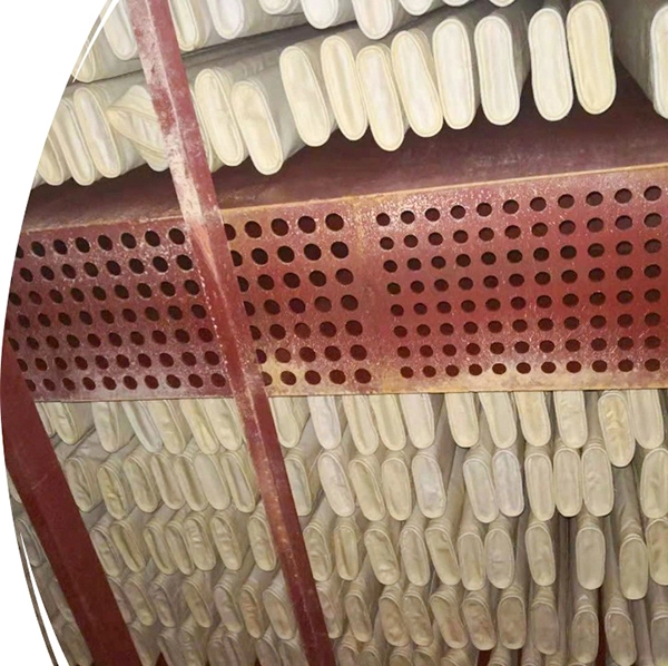 sản phẩm của TTM