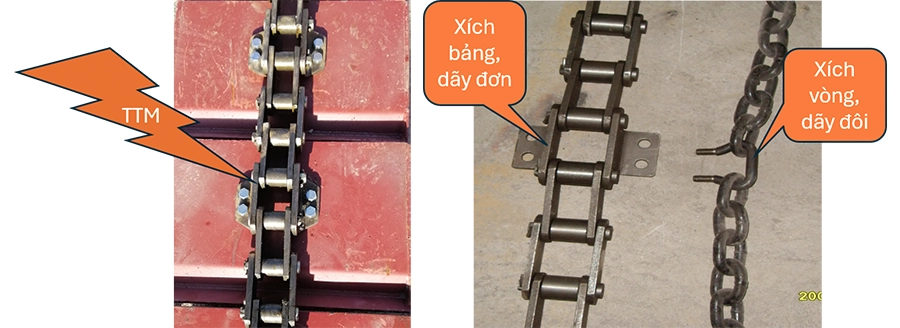 sản phẩm của TTM