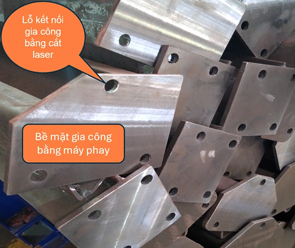 sản phẩm của TTM