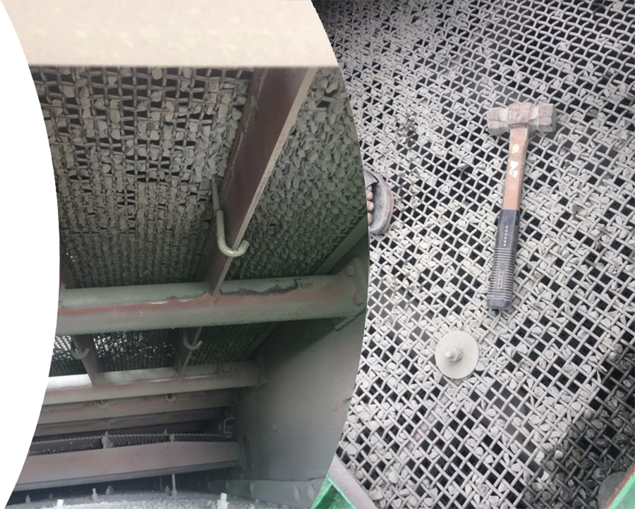 sản phẩm của TTM