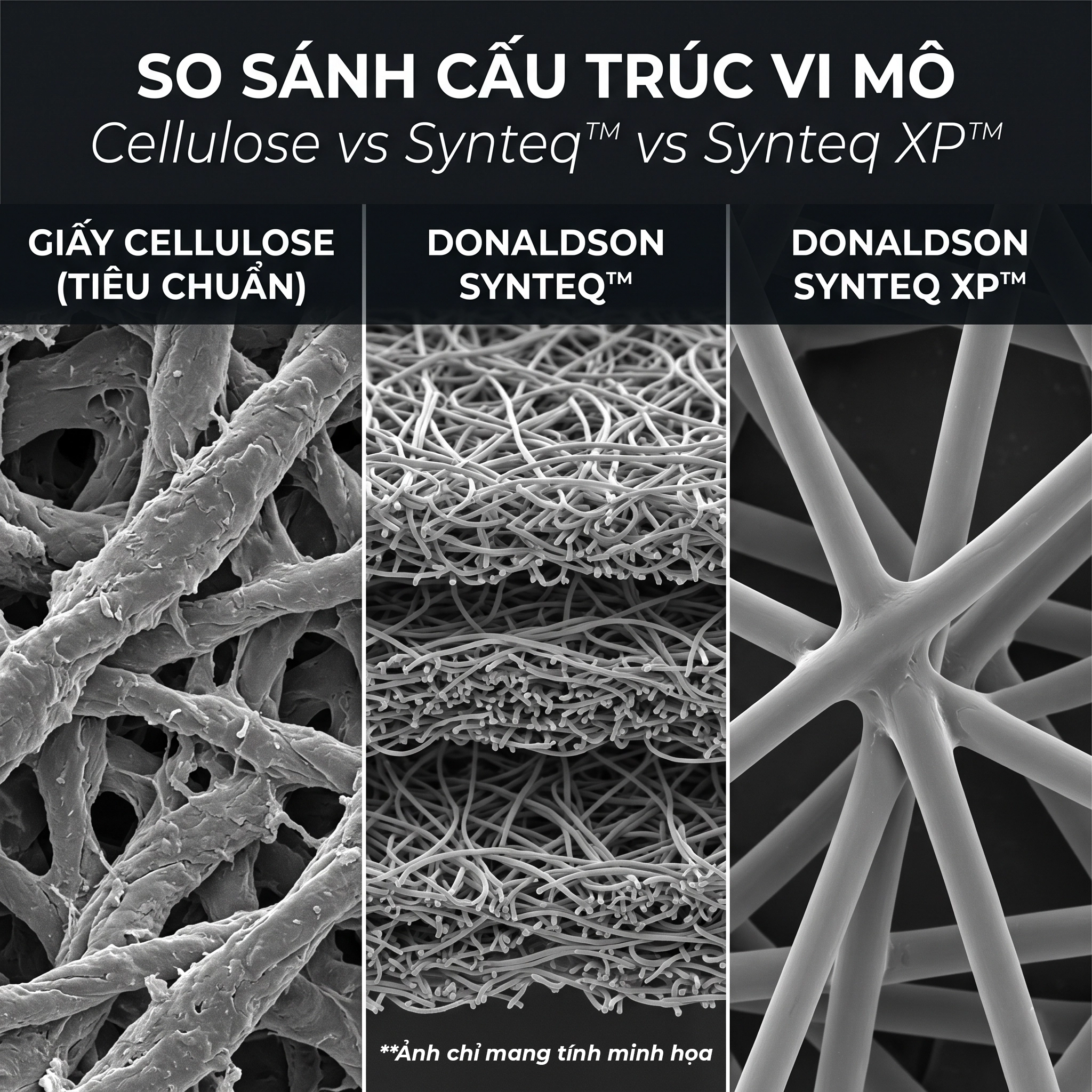 giới thiệu về Tập Đo&agrave;n Donaldson